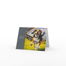 犬と虹の共感書