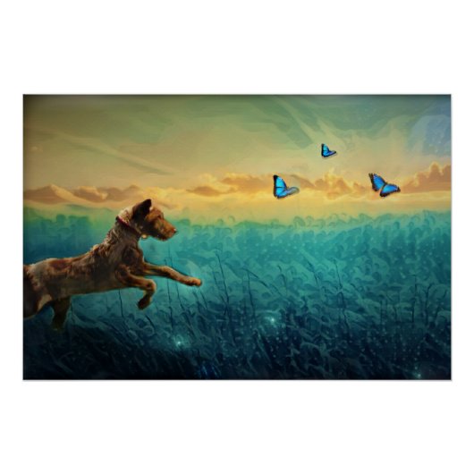 犬と蝶 ポスター (正面)