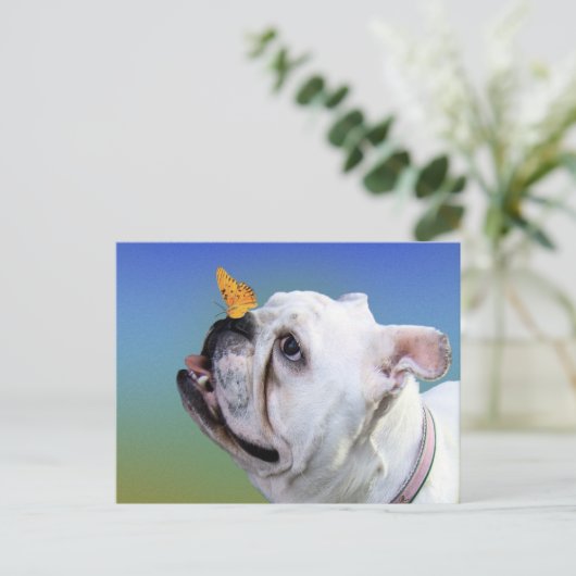 犬と蝶 ポストカード (スタンド正面)