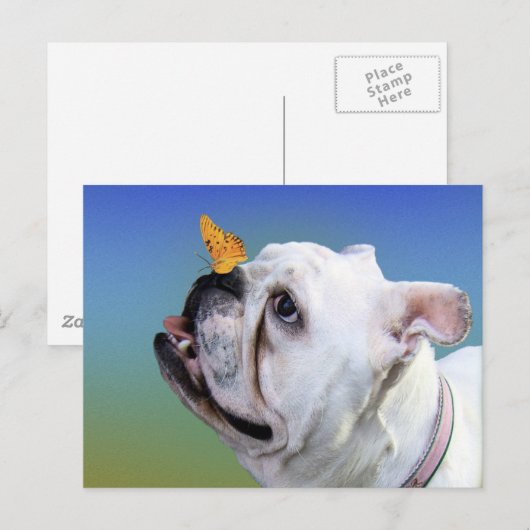 犬と蝶 ポストカード (正面/裏面)