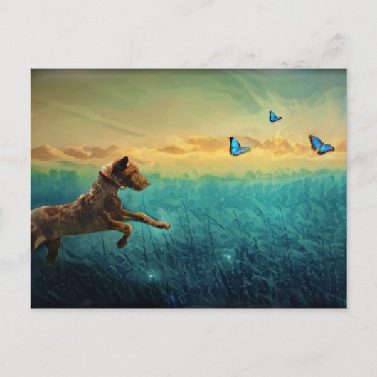 犬と蝶 ポストカード (正面)