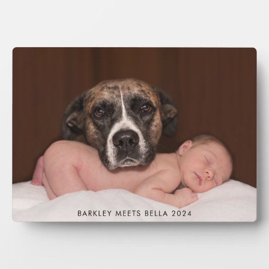 犬と赤ちゃんの初対面 フォトプラーク (正面)
