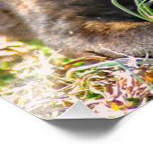 犬と野生のタマネギをブランドル フォトプリント            (角)