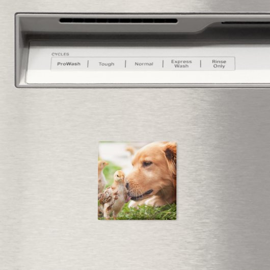 犬と雛 マグネット (インサイチュ (食洗機))