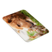 犬と雛 マグネット (右側)