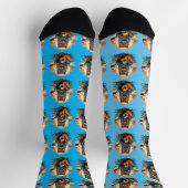 犬と音楽 ソックス (上部)