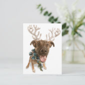 犬と〔雄ジカの〕枝角 ポストカード (スタンド正面)