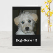 犬にやられた恋しく思お前の誕生日! カード (黄色い花)