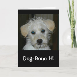 犬にやられた恋しく思お前の誕生日! カード