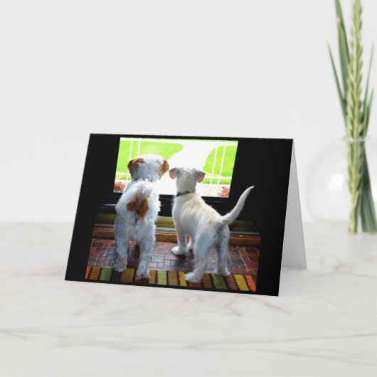 犬にやられた恋しく思ぞ! カード (正面)