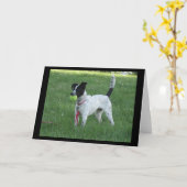 犬にグリーティングカードを手渡す カード (黄色い花)