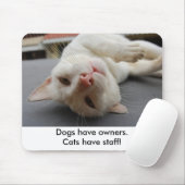 "犬に所有者があります。猫にありますスタッフが"。 マウスパッド (マウス)