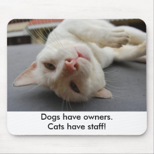 "犬に所有者があります。猫にありますスタッフが"。 マウスパッド
