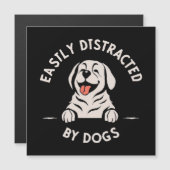 犬に気を取られがち (正面/裏面)