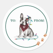 犬のいけな水色ブルドッグが灯りに絡まる ラウンドシール (正面)