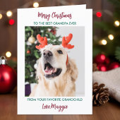 犬のおじいちゃんパーソナライズされたペット写真メリークリスマス シーズンカード