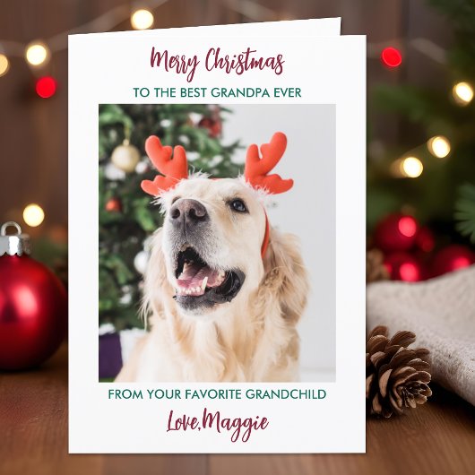 犬のおじいちゃんパーソナライズされたペット写真メリークリスマス シーズンカード