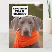 犬のかわいいおもしろいハッピーバースデーグリーティングカード カード (正面)