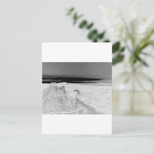 犬のそり ポストカード (スタンド正面)