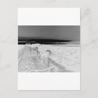 犬のそり ポストカード