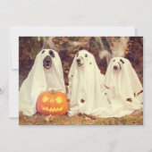犬のために暗いハローウィンパーティで吠える シーズンカード (正面)