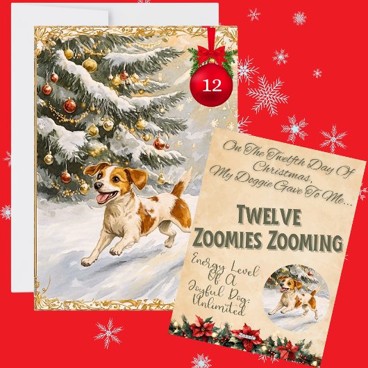 犬のためのクリスマス12日間の12日目 シーズンカード