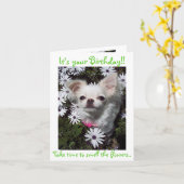犬のためのハッピーバースデー カード (黄色い花)