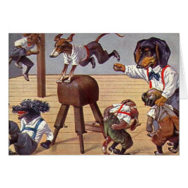 犬のための体育館のクラス