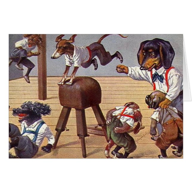 犬のための体育館のクラス (正面横)