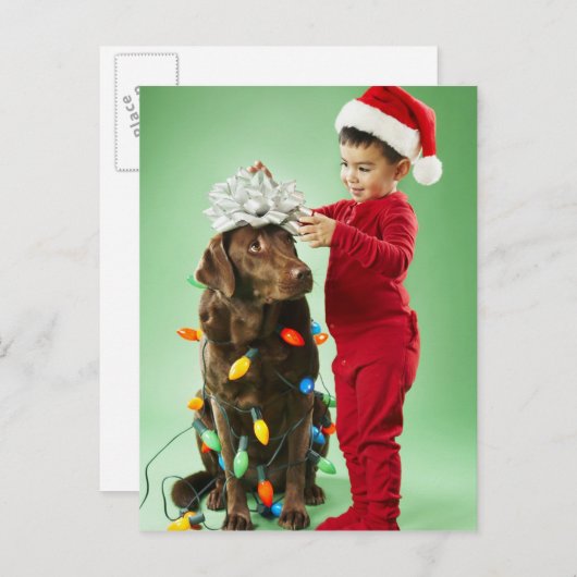犬のまわりでクリスマスの照明を包んでいる若い男の子 シーズンポストカード (正面/裏面)
