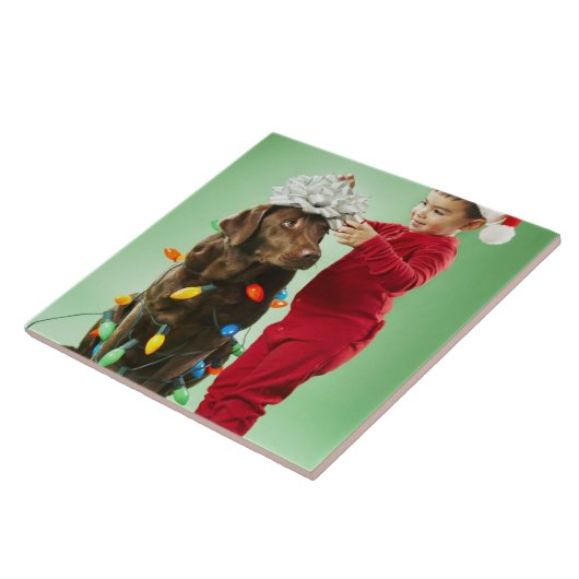 犬のまわりでクリスマスの照明を包んでいる若い男の子 タイル (側面)