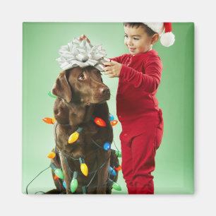 犬のまわりでクリスマスの照明を包んでいる若い男の子 マグネット