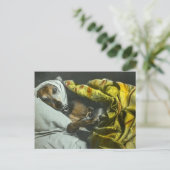 犬のように病気で治るヴィンテージ魔法灯 ポストカード (スタンド正面)