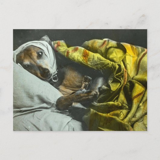 犬のように病気で治るヴィンテージ魔法灯 ポストカード (正面)
