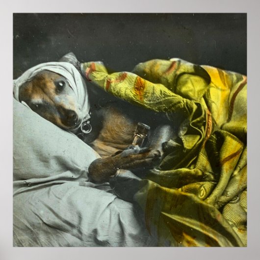 犬のように病気のヴィンテージ魔法ランタンスライド ポスター (正面)