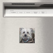 犬のアインシュタイン マグネット (インサイチュ (食洗機))