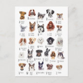 犬のアルファベットの水色 ポストカード (正面)