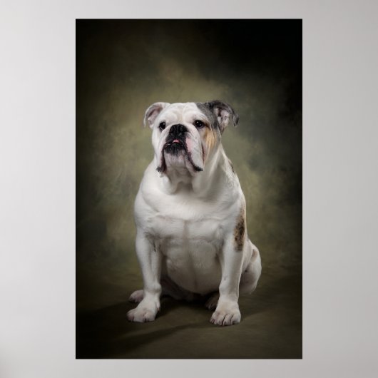 犬のエレガントシルエット ポスター (正面)