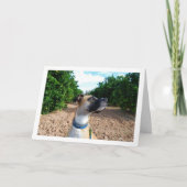 犬のオーチャードでの肖像 カード (正面)