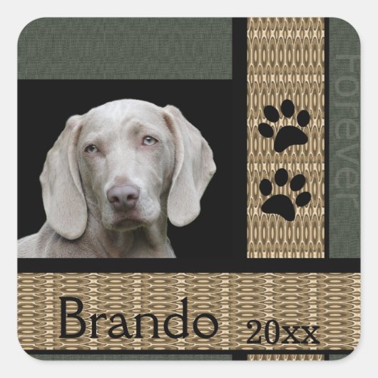 犬のカスタム写真 スクエアシール (正面)