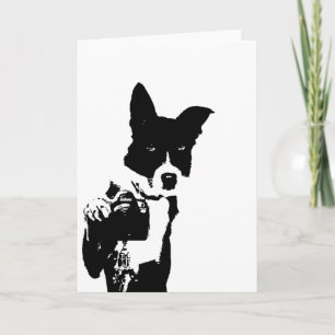 犬のカメラマン カード