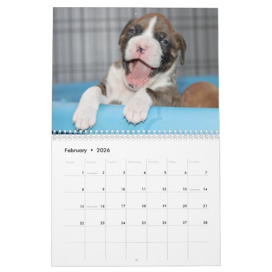 犬のカレンダー-かわいいボクサーの子犬 カレンダー (2月 2026)