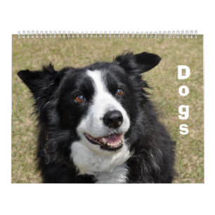 犬のカレンダー カレンダー