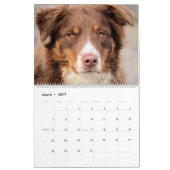犬のカレンダー カレンダー (3月 2027)