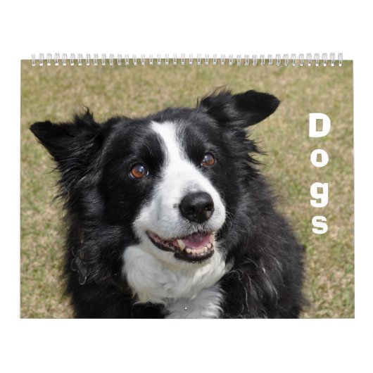 犬のカレンダー カレンダー (カバー)