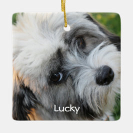 犬のクリスマスオーナメントスクエアセラミックフォト セラミックオーナメント