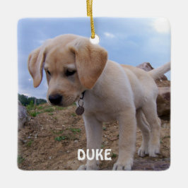 犬のクリスマスオーナメント写真広場 セラミックオーナメント