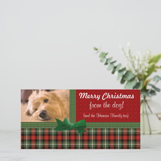 犬のクリスマスカスタム シーズンカード (スタンド正面)