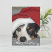 犬のクリスマスカードの絵です。 招待状 (スタンド正面)