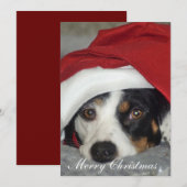 犬のクリスマスカードの絵です。 招待状 (正面/裏面)